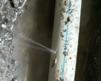 铁锋卫生间测漏水多少钱