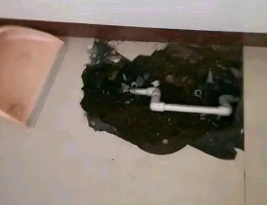 铁锋卫生间测漏水多少钱
